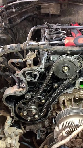 Eliot Donoghue on TikTok