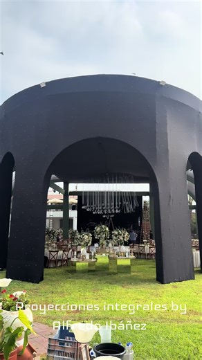 Proyecciones Integrales by Alfredo Ibáñez