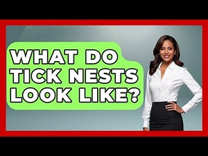What Do Tick Nests Look Like? - Insects and Invaders