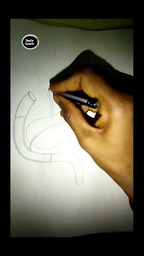 How to draw pancreas step by step/part-1 #science #biology #viralvideo #shorts #study #dailylearn #b