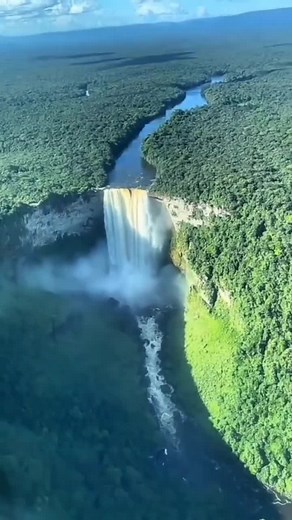 Explore the Lungs of the Earth: Amazon Nature Tour