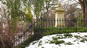 🔊 Sound On! 🔊 Listen to the early Spring bird calls recorded this morning! 🦆🐦 How many can you identify? | Mount Auburn Cemetery