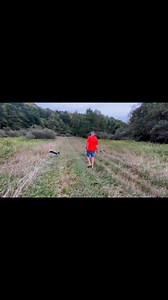 Lucy and Baby G ending their training time with us. Goal number 1 was to tone break these two to recall on beep. I think they are doing well. | Longspur Tracking and Outfitting