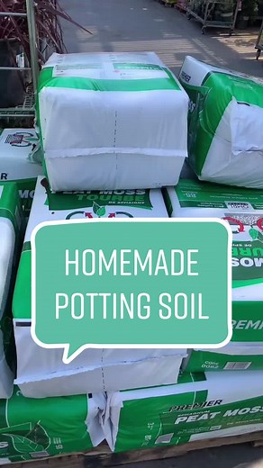 Garden of Eden on TikTok