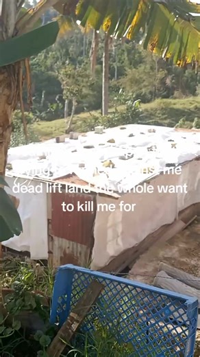 Sherene Spencer (@sherene.spencer)’s video of Deadlift