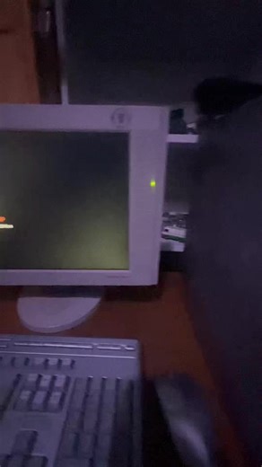 Exploring 2000s PC Culture and Windows XP