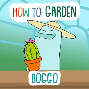 How To Care For Plants | The Land Of Boggs