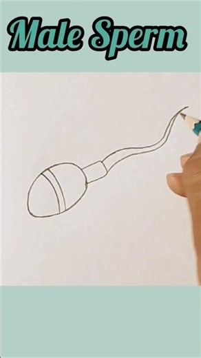 Easiest way to draw Human Sperm Cell Diagram// Prep for Exams//Sperm #shorts #science #virya #sperm