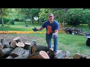 Free Red Oak Tree Service Wood MS290 Farm Boss