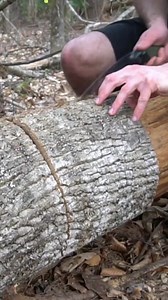 Building a Survival Shelter in the Forest! #bushcraft #survival #camping #debrishut #camplife #survivalshelter #shelter | Son of a Bear Herbs