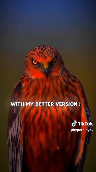 My Epic Comeback Is Coming Soon!