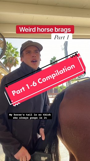 Weird Horse Brags Compilation Parts 1–6 | Horses & Humor