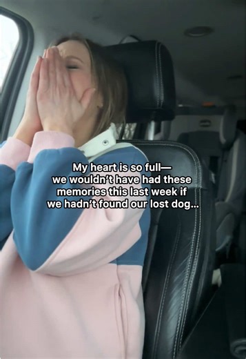 Finding Bruno: A Heartwarming Rescue Story
