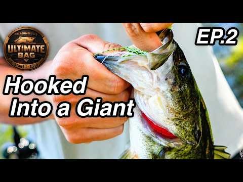 Chasing the ULTIMATE BAG Ep.2| Hooked into something BIG!