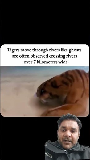 || Nature swimmer....#shorts