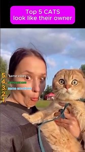 Top 5 CATS LOOK LIKE THEIR OWNER #cats #viral #ranking