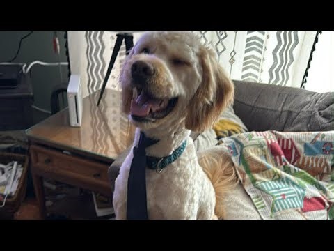 Procrastination Thursday ( prepping for the storm)