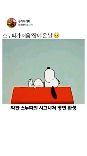 세상에서 가장 유명한 강아지의 소박한 첫날