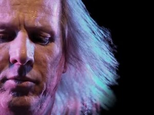 【深夜系BGM】Adrian Belew - Elephant Guitar