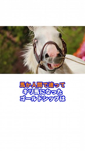 ギリウマになったゴールドシップ