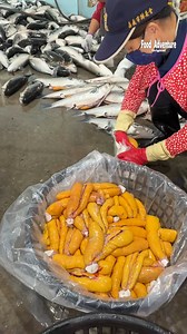 Fast cutting thousands mullet fish for precious roe #mulletfish #fishroe #fblifestyle | Food Adventure