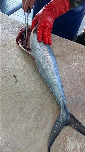 How This Fish Seller Slices Like a Pro With a Razor-Sharp Knife