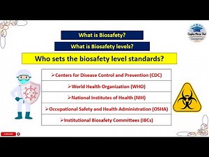 Who sets the biosafety level standards? | Biosafety levels #microbiology #trending