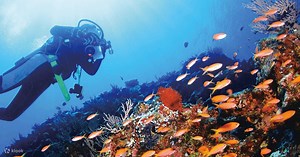 Onna Village Blue Cave Diving and Snorkeling, Okinawa - Klook United States