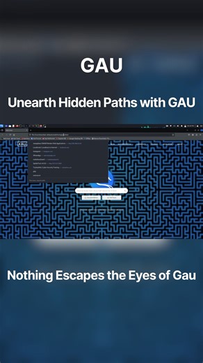 Axximum Infosolutions Pvt Ltd | 🚨 Cybersecurity Enthusiasts, This One’s for You! 🌐 Uncover Hidden Attack Paths with GAU (GetAllUrls) 🔍 Master the art of URL enumeration... | Instagram