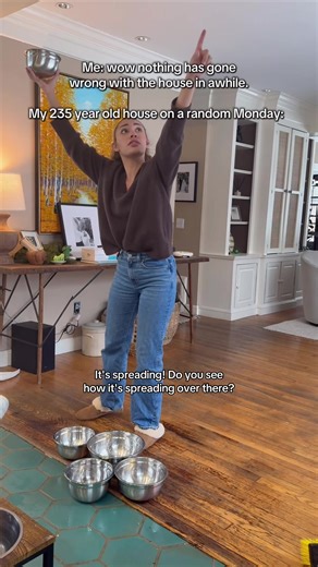 Old House Troubles: Surprising Leak and Hornet Attack