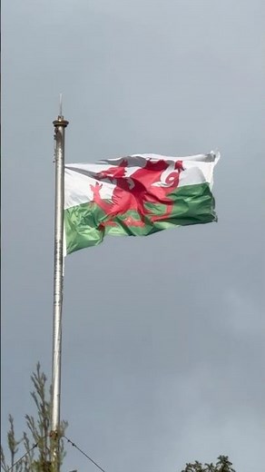 The Welsh Flag Might Be the Best in the World