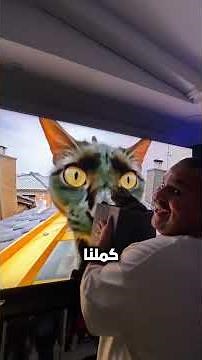 تجربة القطار مع القطوة🐈🎢