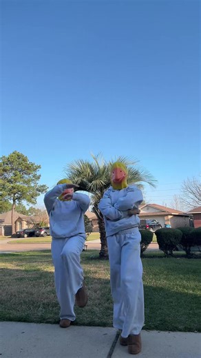 Duck w us #ducks #viral #fyp #funny #dance | dancing