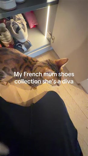 _Pepepourlesintimes_ (@pepepourlesintimes)’s video of shoe collection