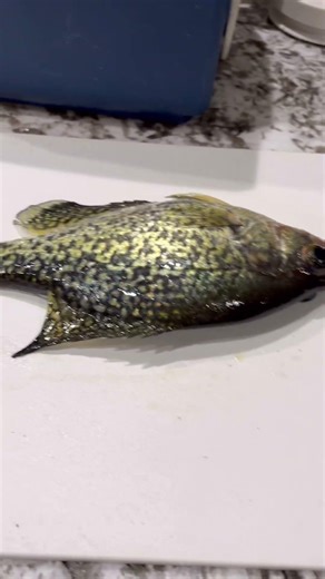 First video for the cast crew had a good day on the ice