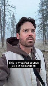 This is what fall sounds like in Yellowstone. Nothing hits quite like an elk’s bugle echoing through the valley. #YellowstoneNationalPark #ElkRut #WildlifePhotography #NatureCinematography #ExploreWildlife #AmericanWest #naturelovers | Wildlifebyhayden