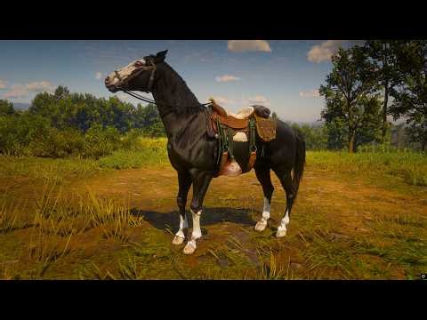 RDR 2 | Arthur Morgan Tames Micah's Horse Near Rhodes