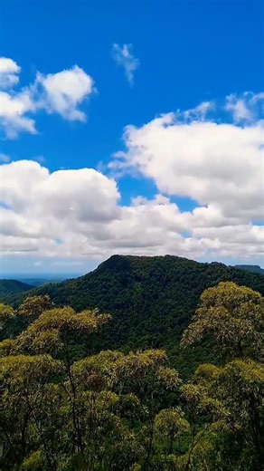 The Pinnacle Springbrook