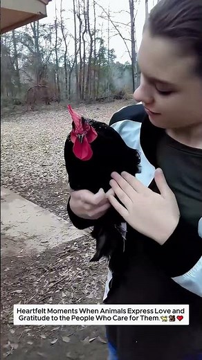 When Animals Know How to Love and Show Affection to Humans #animals #animalshorts