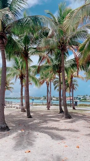 Scenic DuBois Park Views in Jupiter, Florida
