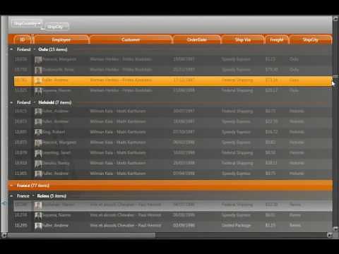 Xceed DataGrid for WPF v3.5 : Smooth Scrolling Demo