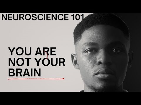 NEUROSCIENCE 101: An Introduction to How Your Brain Works