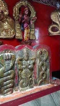 Nagar temple/ நாகர் சன்னதி / நாக தேவதை/ நாக தேவதை கோயில்/