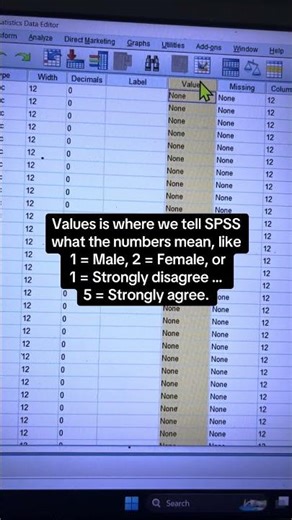 What is variable view in SPSS? ‪@researchbypiumsha‬ #phdstudents #spsstutorial