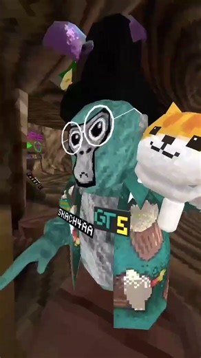 Day 4 of joining my fan code until 100 subs #gorillatag #gtag #vr