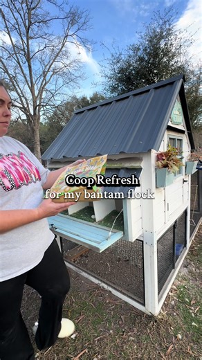 Coop Refresh for Bantam Chicken Flock
