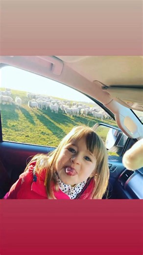 The best showing Isla farm life 🥰 | Martin Gauld