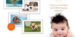 Infant & Toddler Language Cards