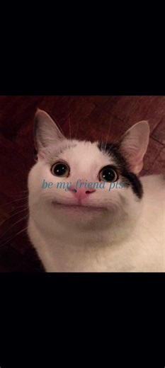 Seeking Friendship: Join Me in Connection