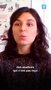 Comment reconnaître une viande casher ou halal au supermarché ?